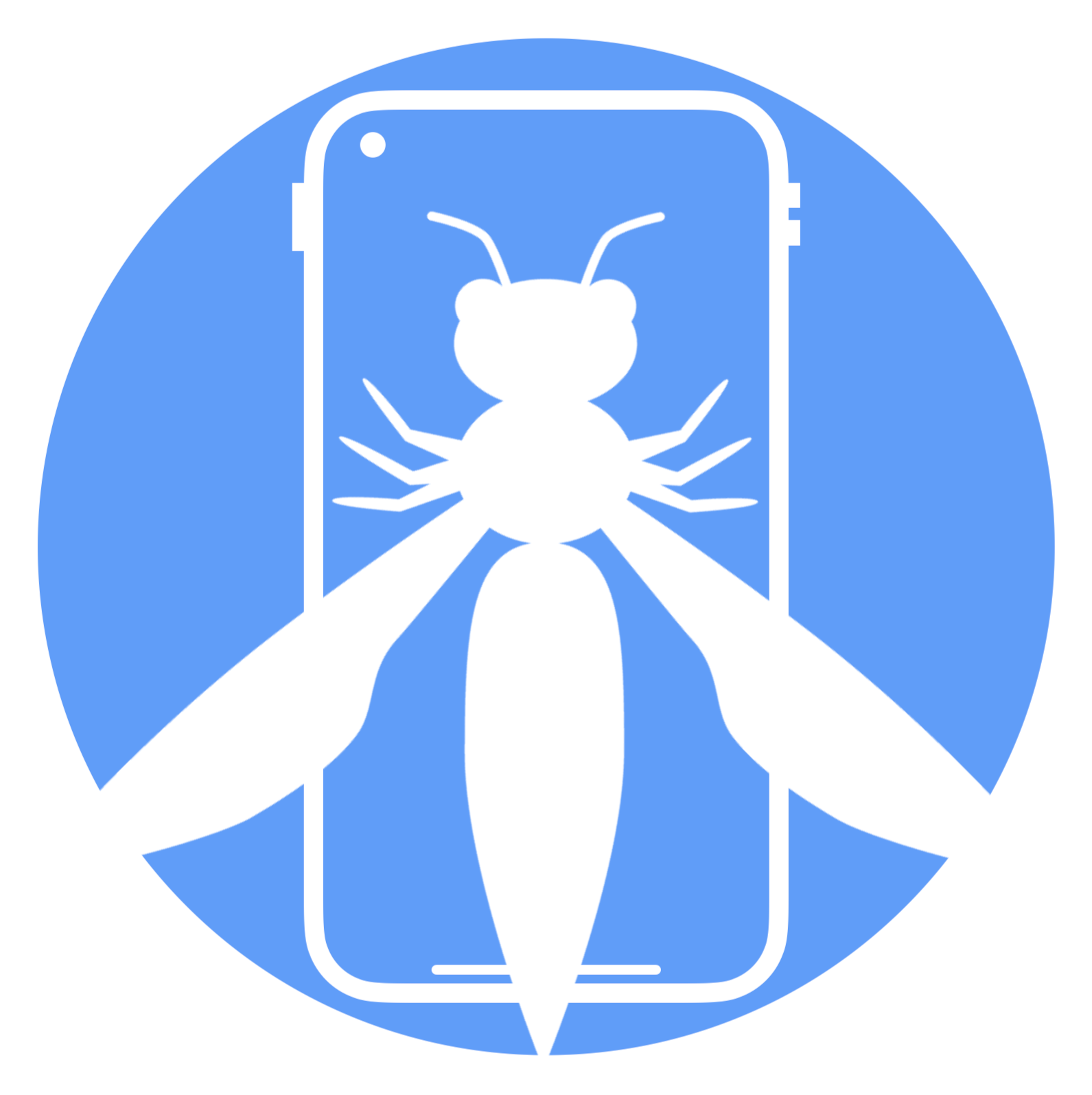 OWASP Mobile Security Guidelines